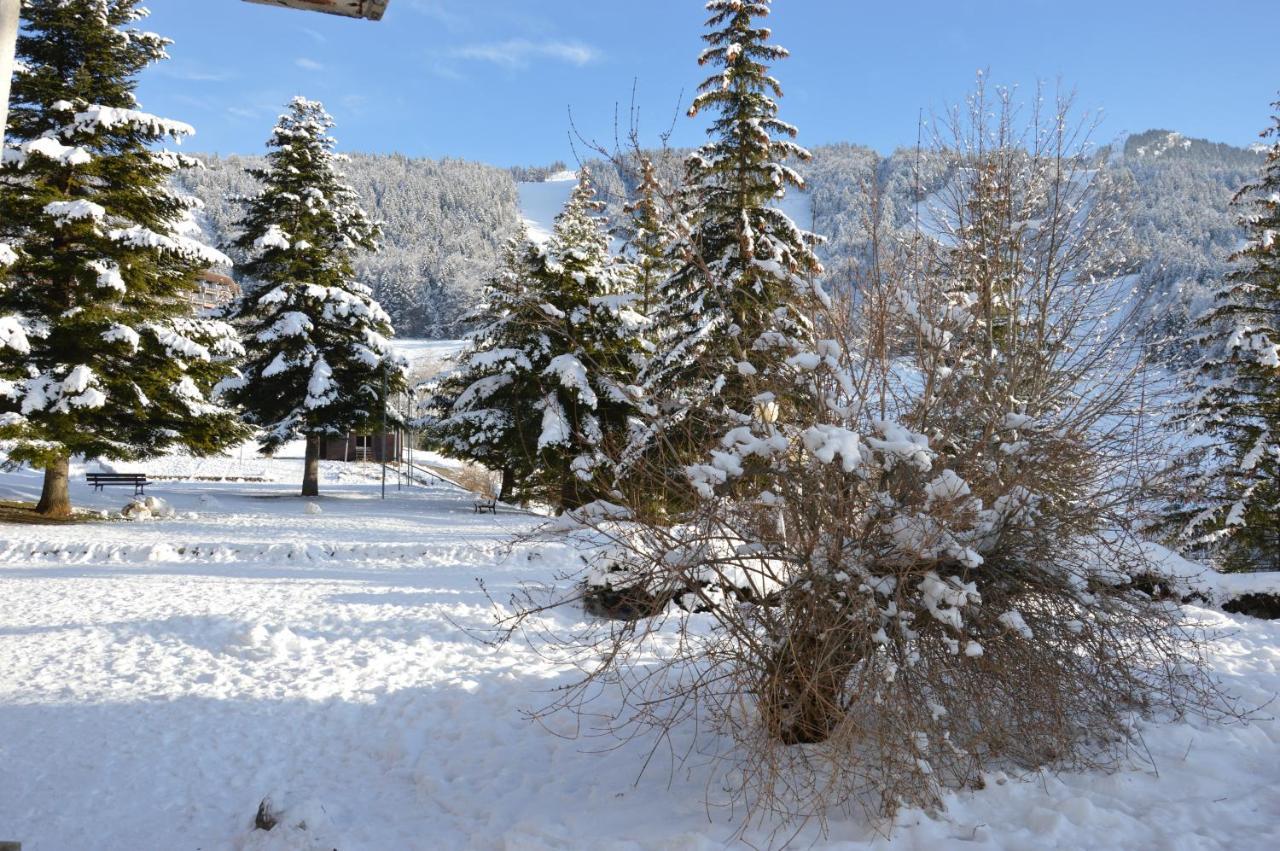 Villard De Lans Exterior photo